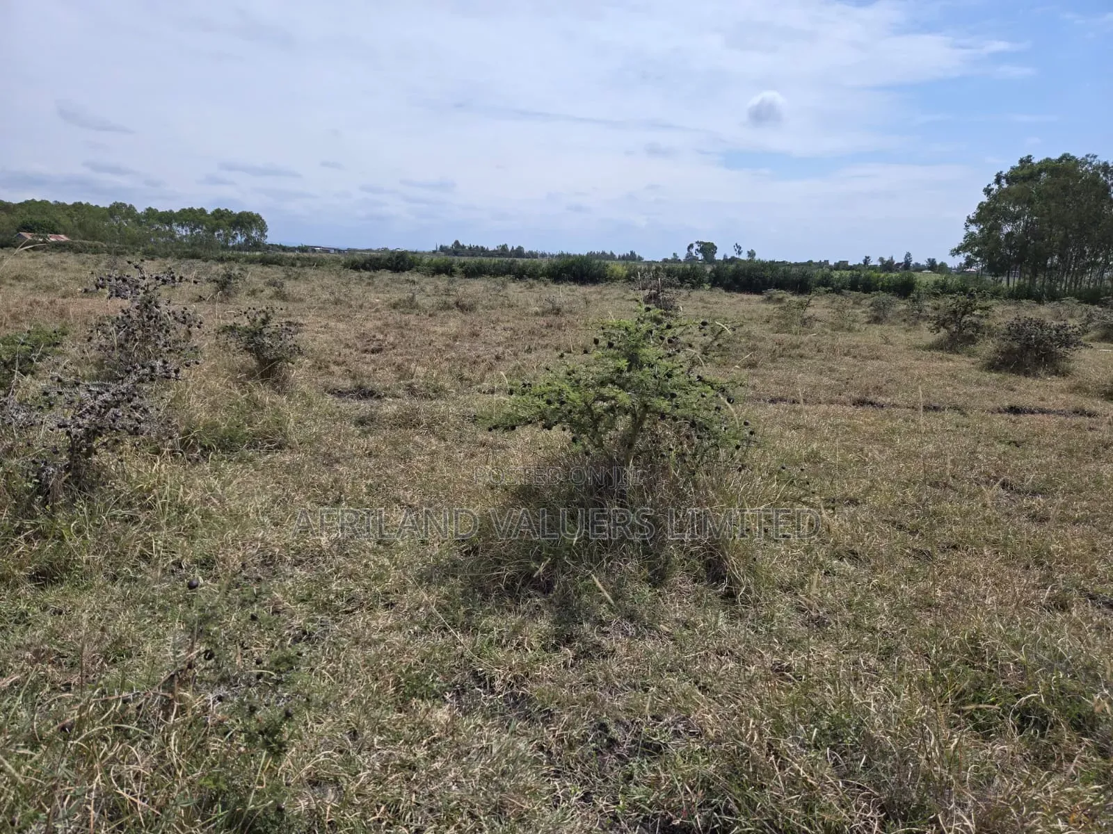 Plots for Sale in Tuala Next to Rockfields in Kiserian