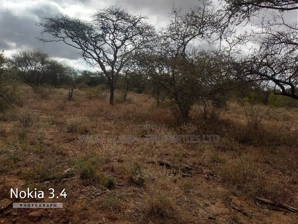 460 Acres Agricultural Land In Kajiado Is Available For Sale in Loitoktok