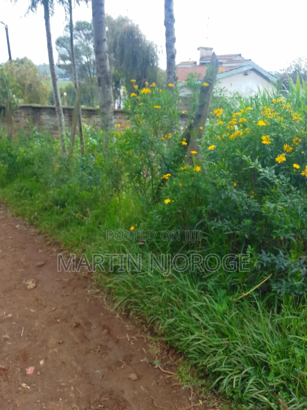 50 by 100 Tiekunu, Limuru in Ndeiya