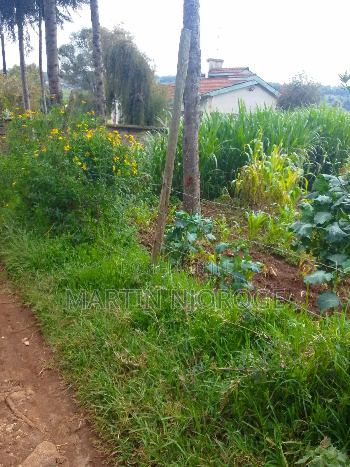 50 by 100 Tiekunu, Limuru in Ndeiya