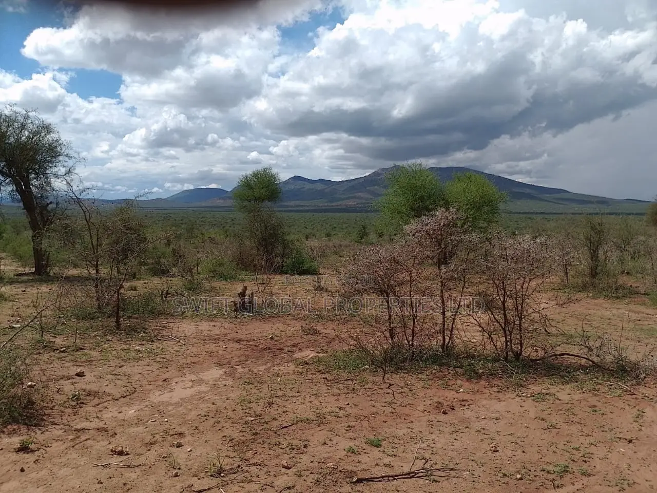 700 Acres in Namanga Kajiado Is Available for Sale in Namanga