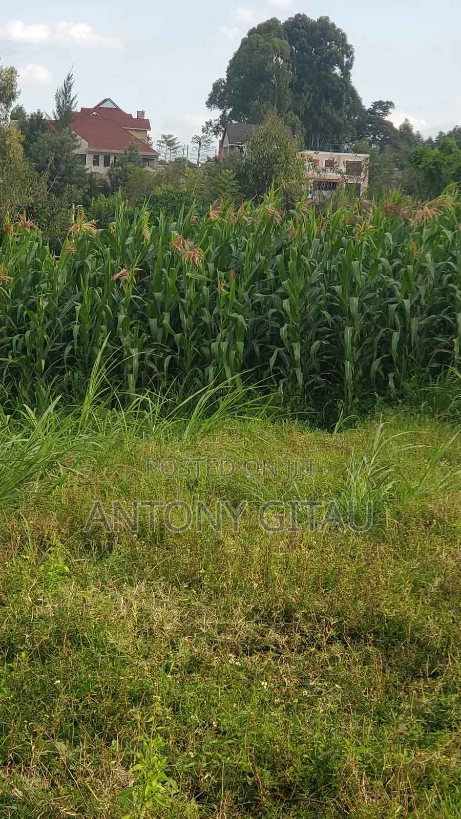 0.05 Ha Plot Near Kikuyu Bypass Overlooking Alliance High in Kikuyu