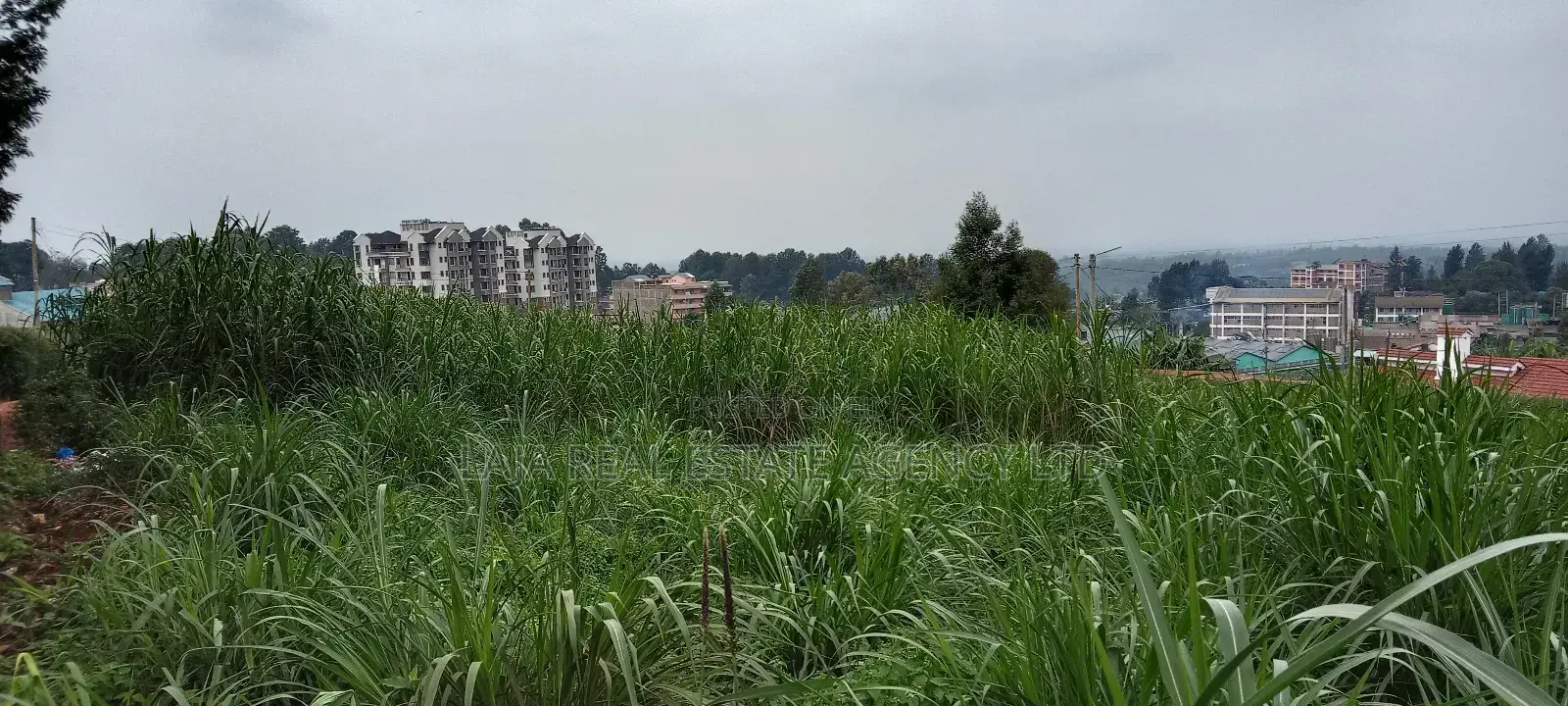 Githunguri Plots Sale in Githunguri