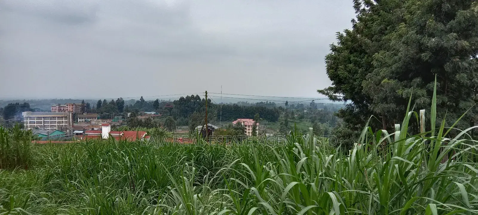 Githunguri Plots Sale in Githunguri