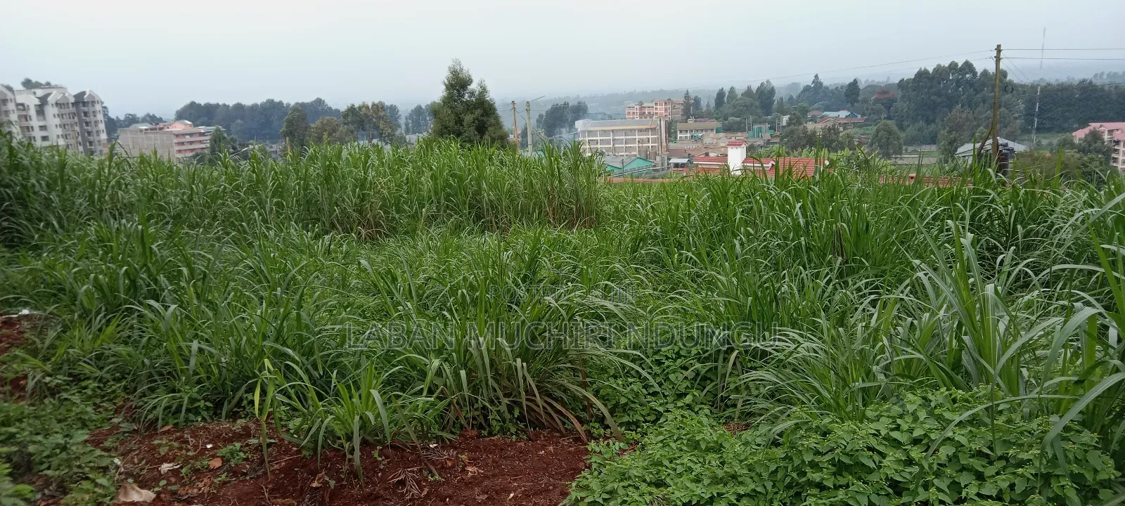 Land for Sale in Githunguri