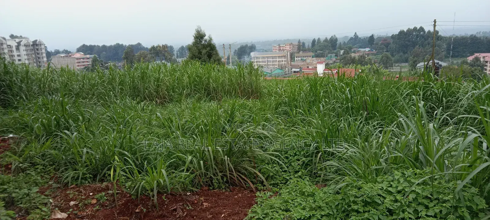 Githunguri Plots Sale in Githunguri