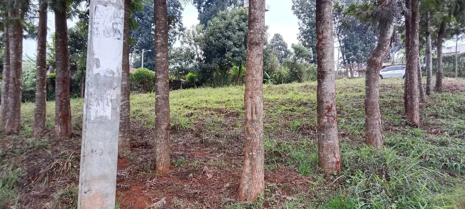 Githunguri Plots Sale in Githunguri