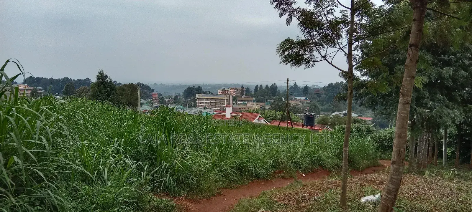 Githunguri Plots Sale in Githunguri
