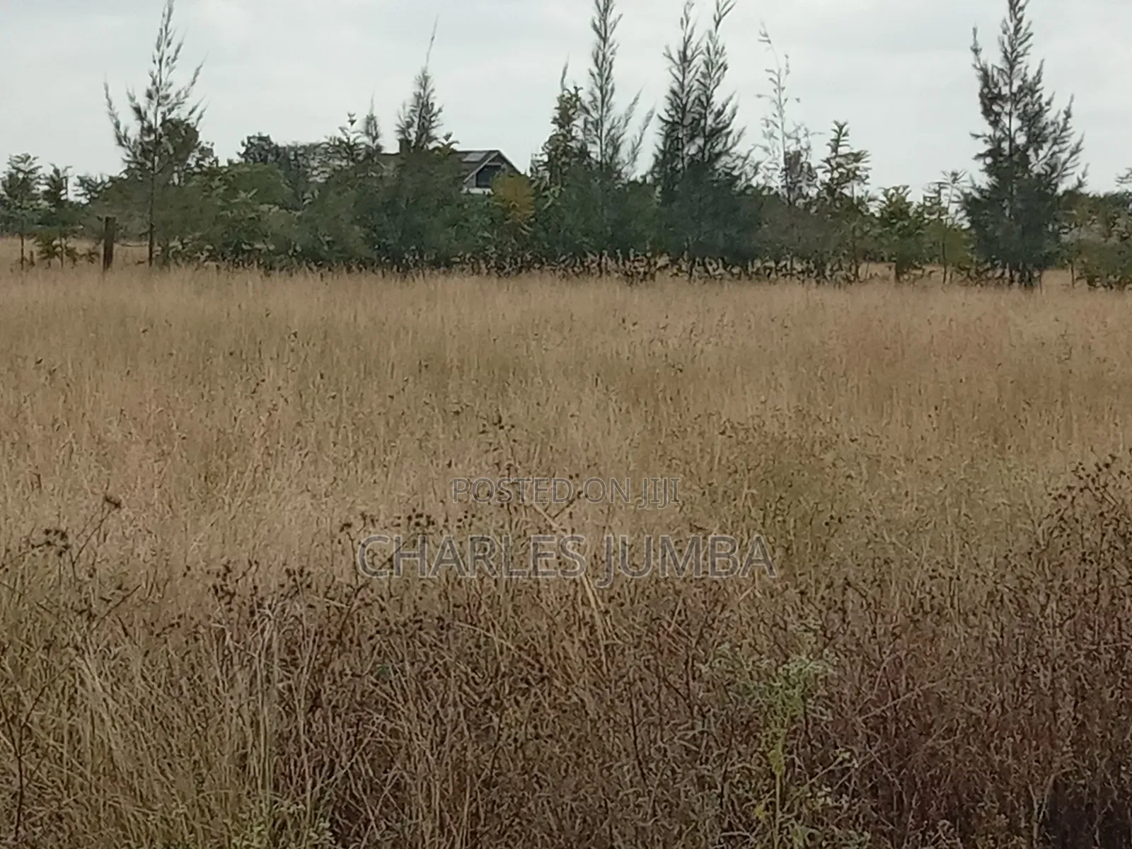Kag Plot in Korompoi in Kitengela