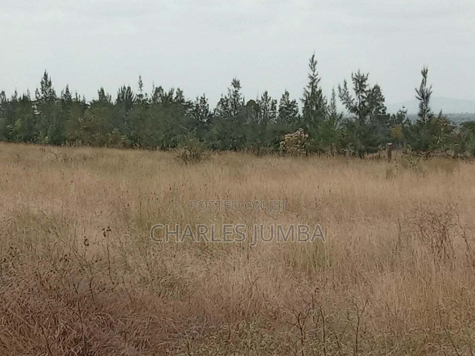 Kag Plot in Korompoi in Kitengela