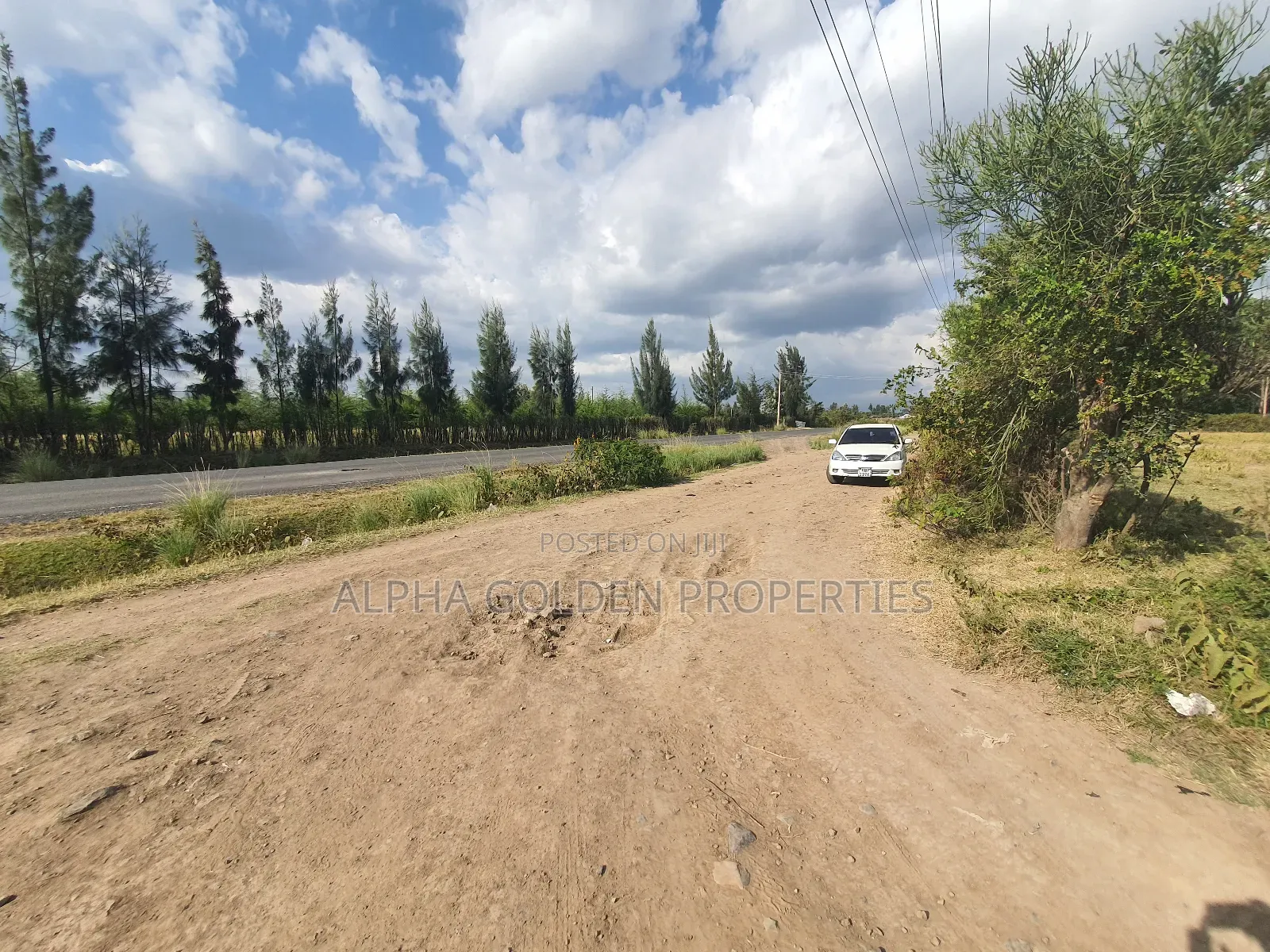 Nanyuki Plots on Tarmac in Laikipia Central