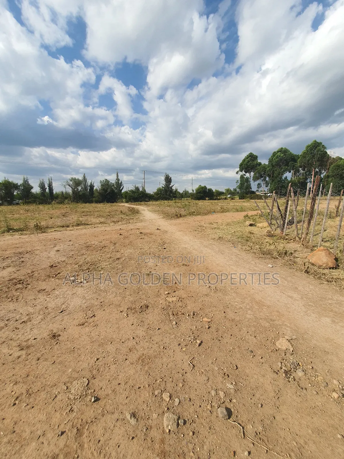 Nanyuki Plots on Tarmac in Laikipia Central