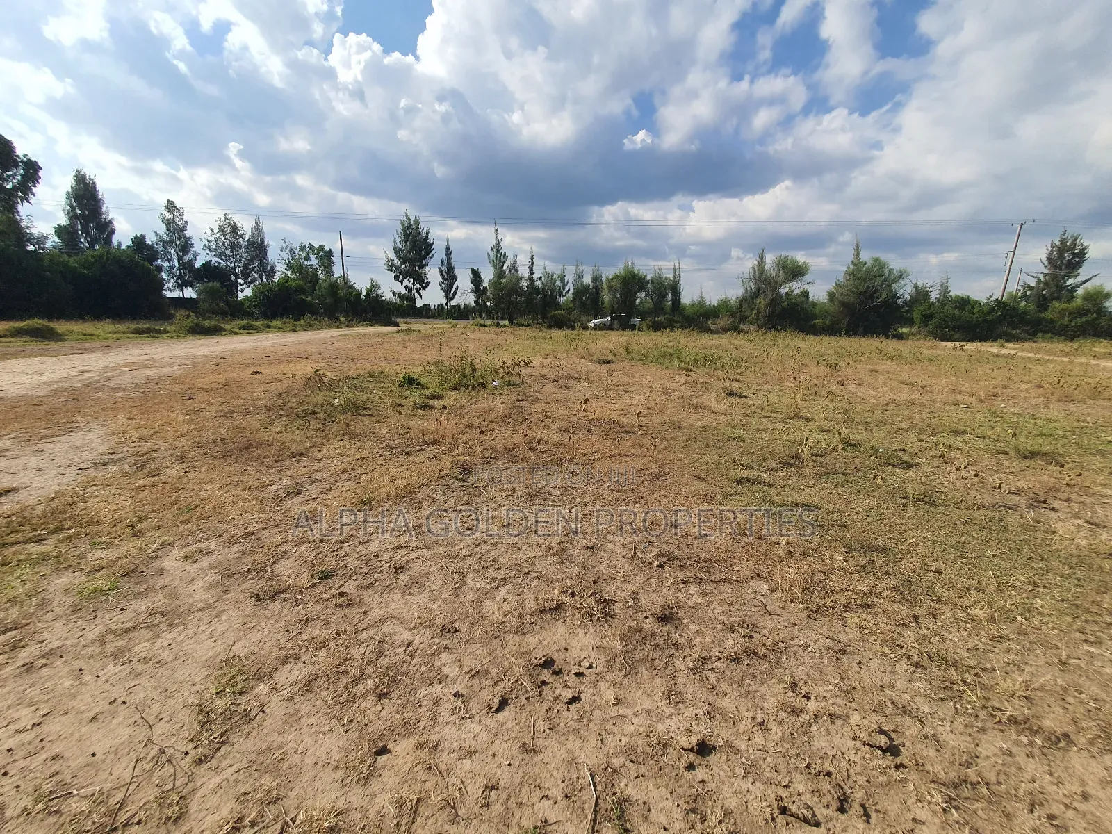 Nanyuki Plots on Tarmac in Laikipia Central