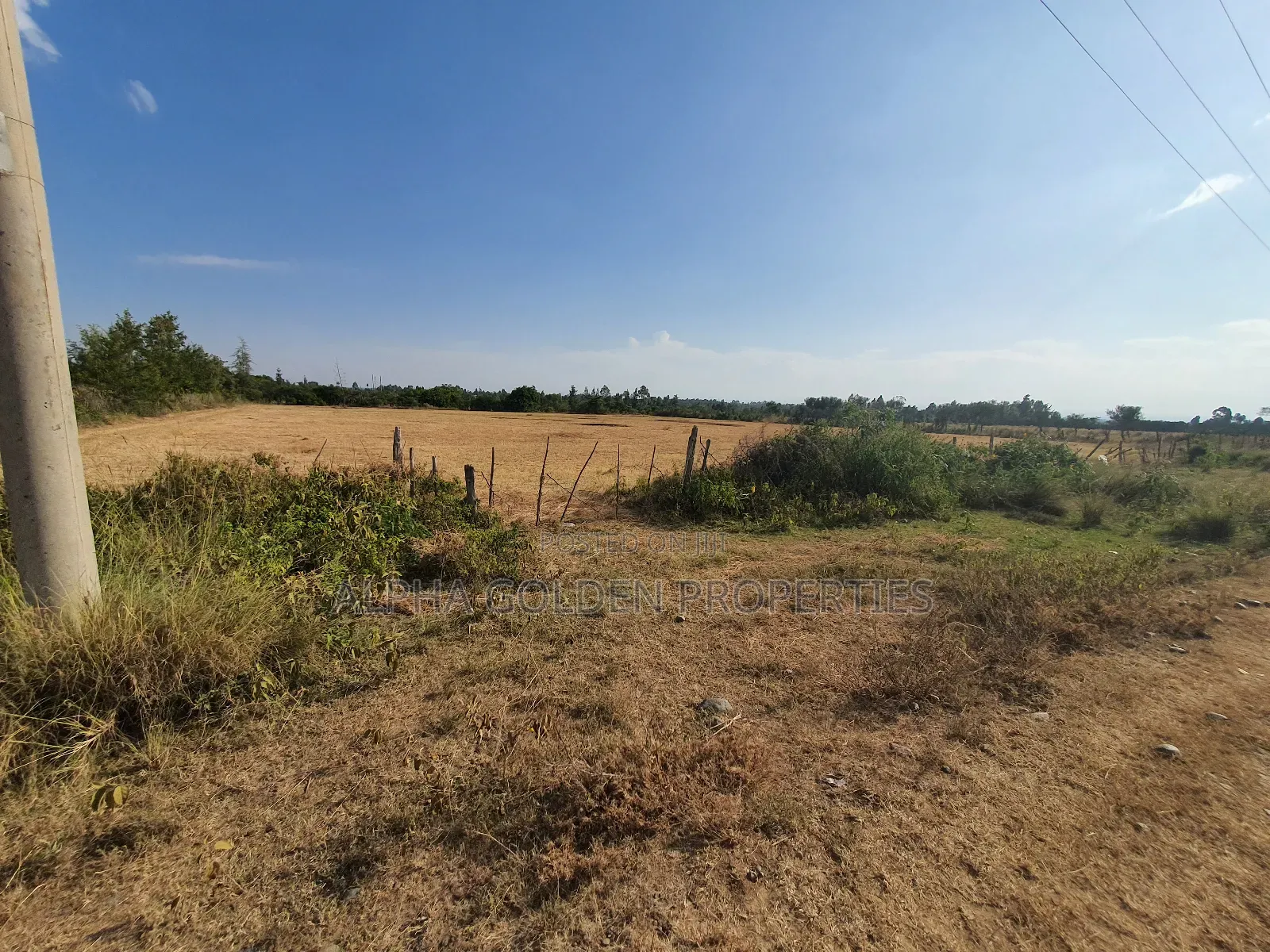 Sweetwaters Nanyuki Plots in Nanyuki
