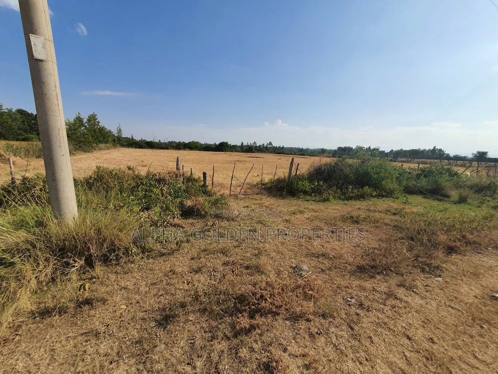 Sweetwaters Nanyuki Plots in Nanyuki