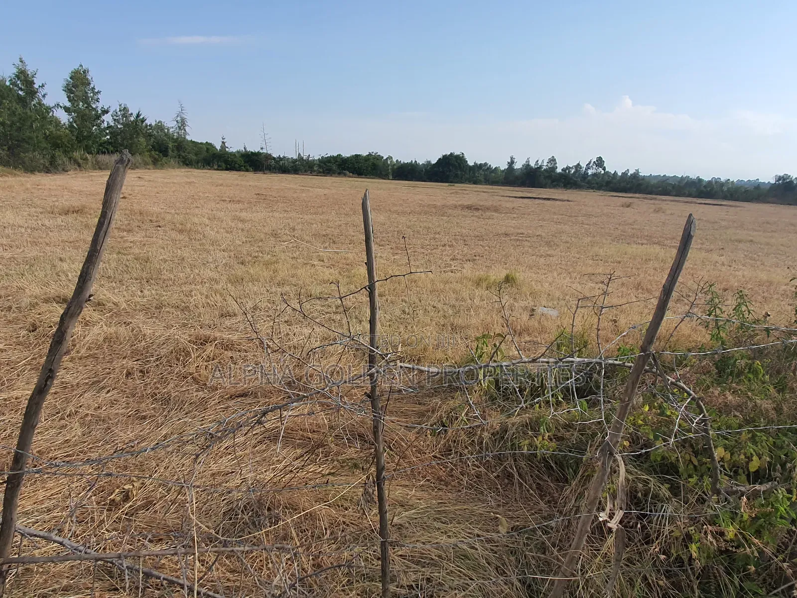 Sweetwaters Nanyuki Plots in Nanyuki