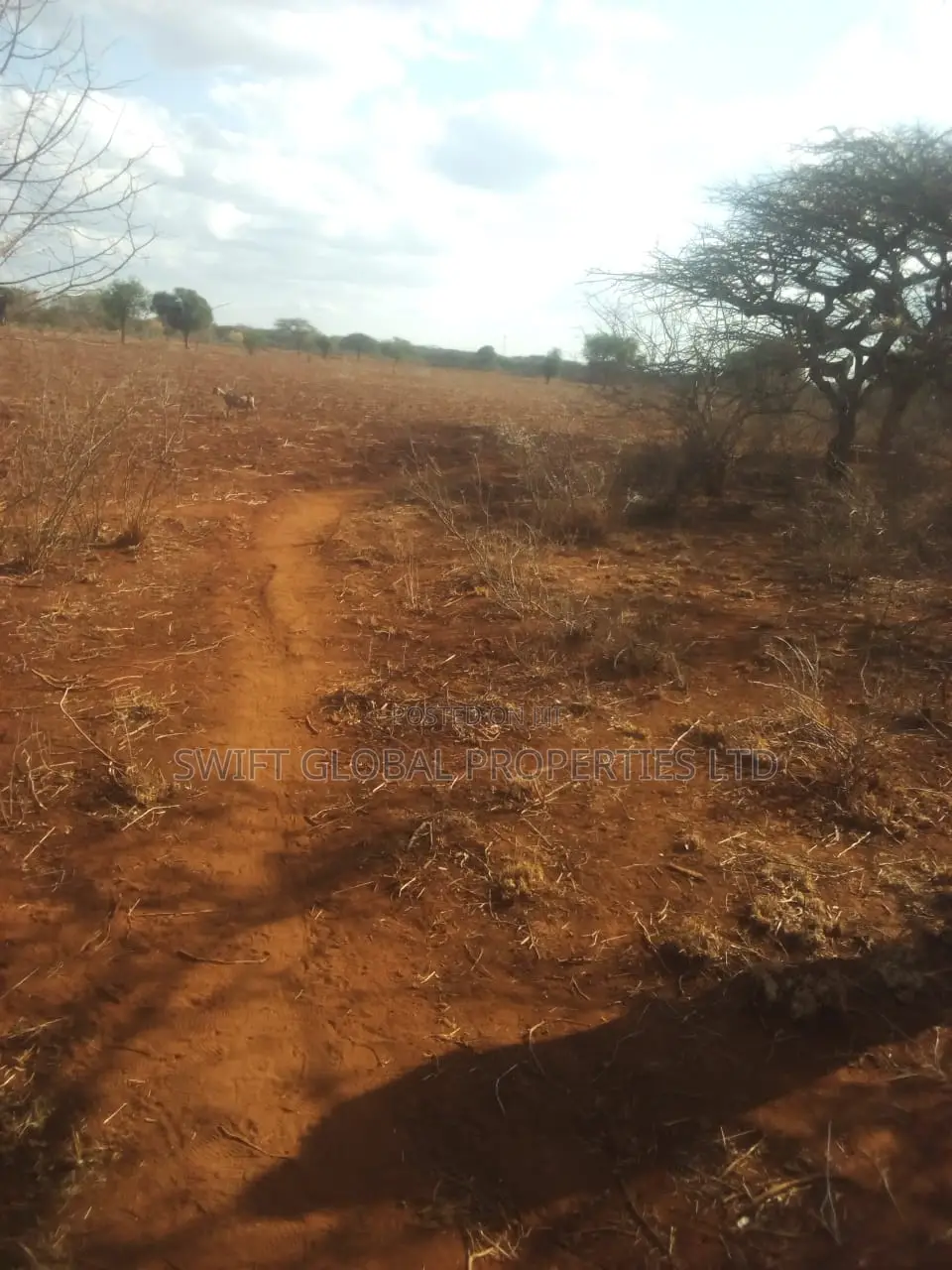20 Acres of Agricultural Land Is for Sale in Makindu Ikoyo in Makindu