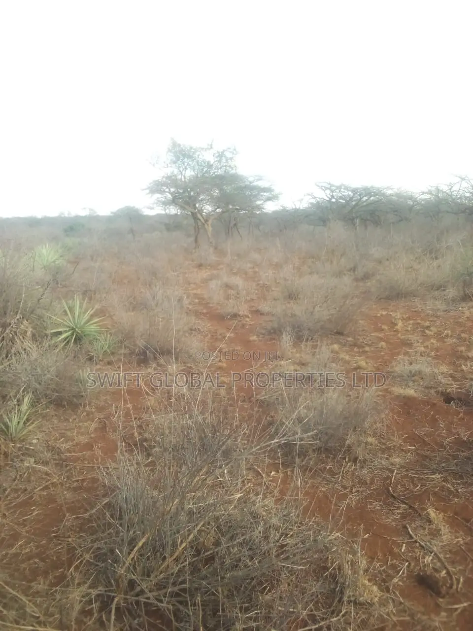 20 Acres of Agricultural Land Is for Sale in Makindu Ikoyo in Makindu