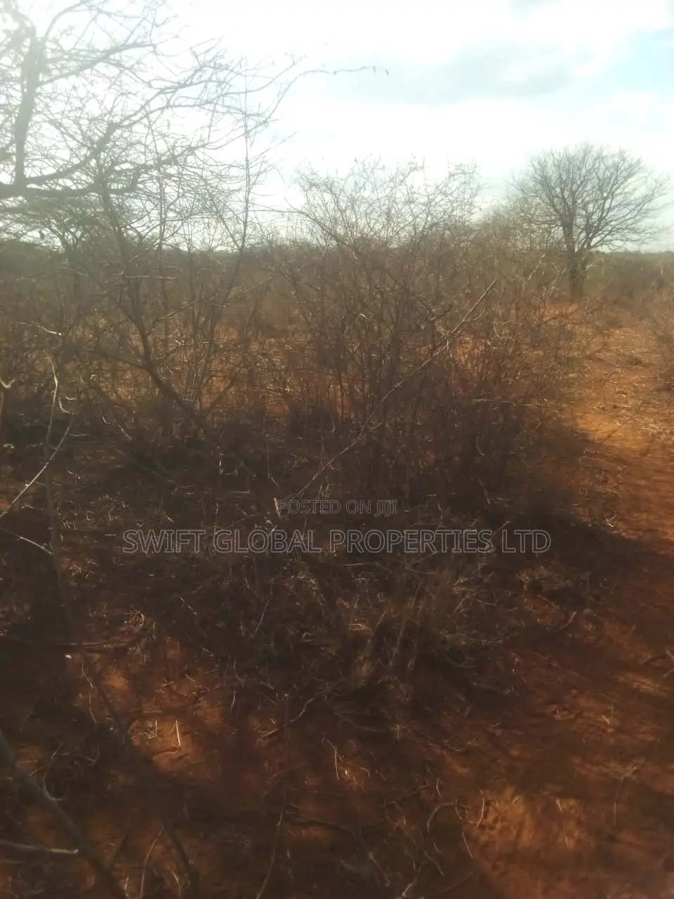 20 Acres of Agricultural Land Is for Sale in Makindu Ikoyo in Makindu