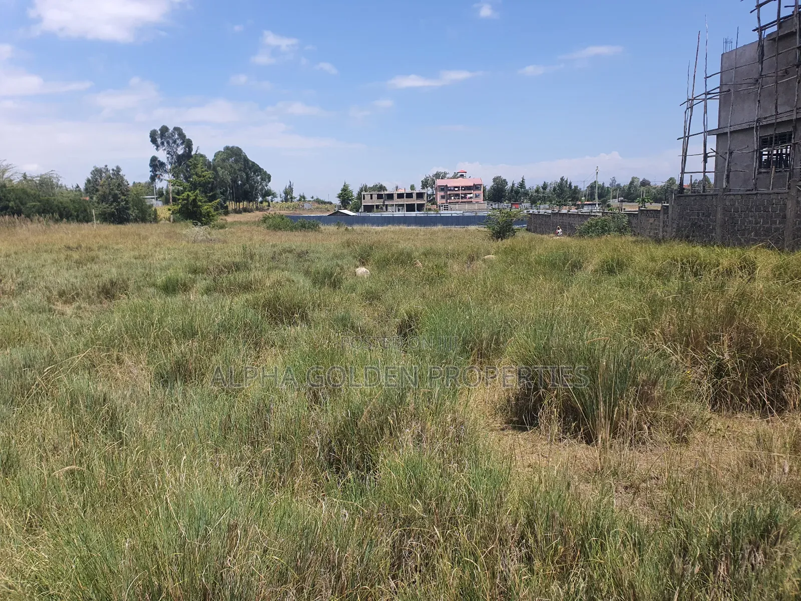Nanyuki Prime Plots in Nanyuki
