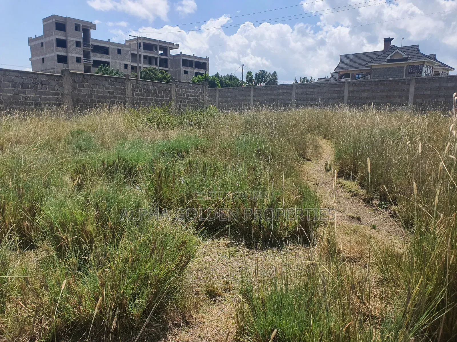 Nanyuki Prime Plots in Nanyuki