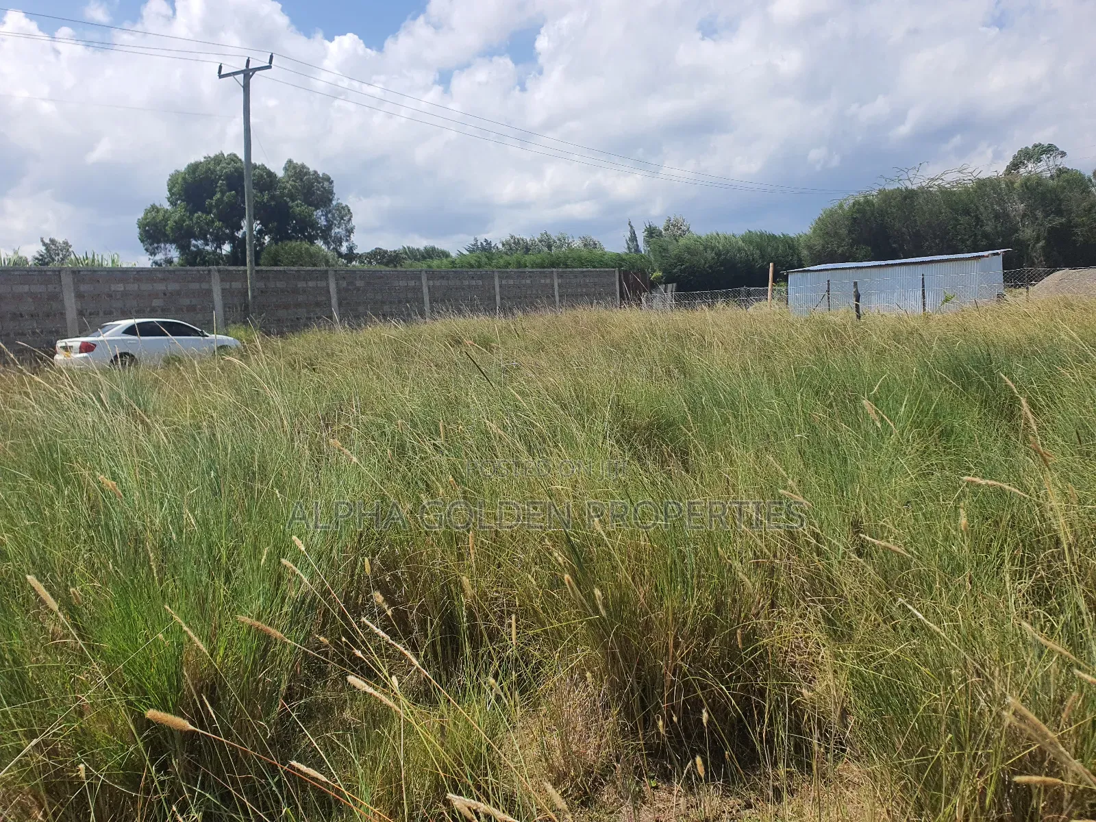 Nanyuki Prime Plots in Nanyuki