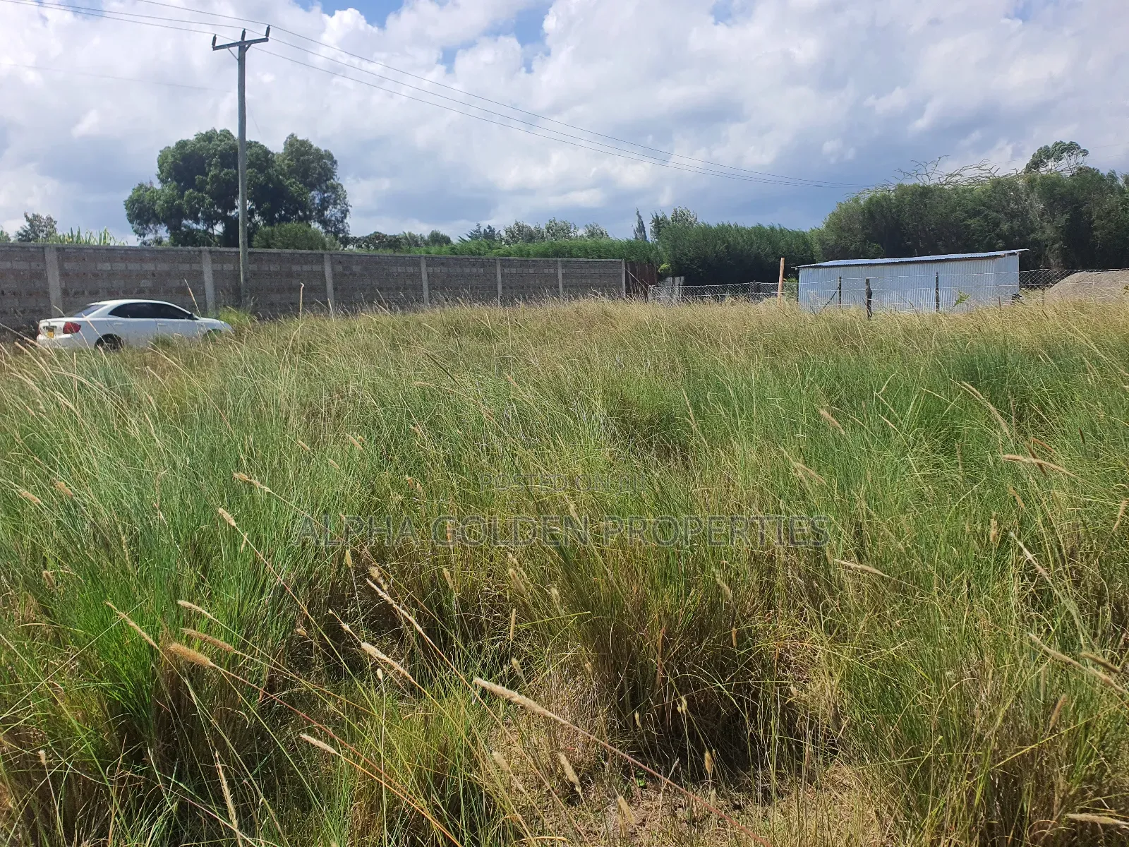 Nanyuki Prime Plots in Nanyuki