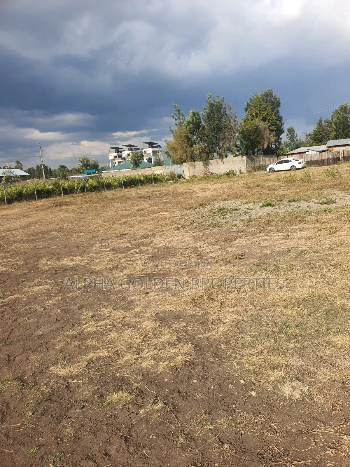 Nanyuki Runda Estate Plots in Nanyuki