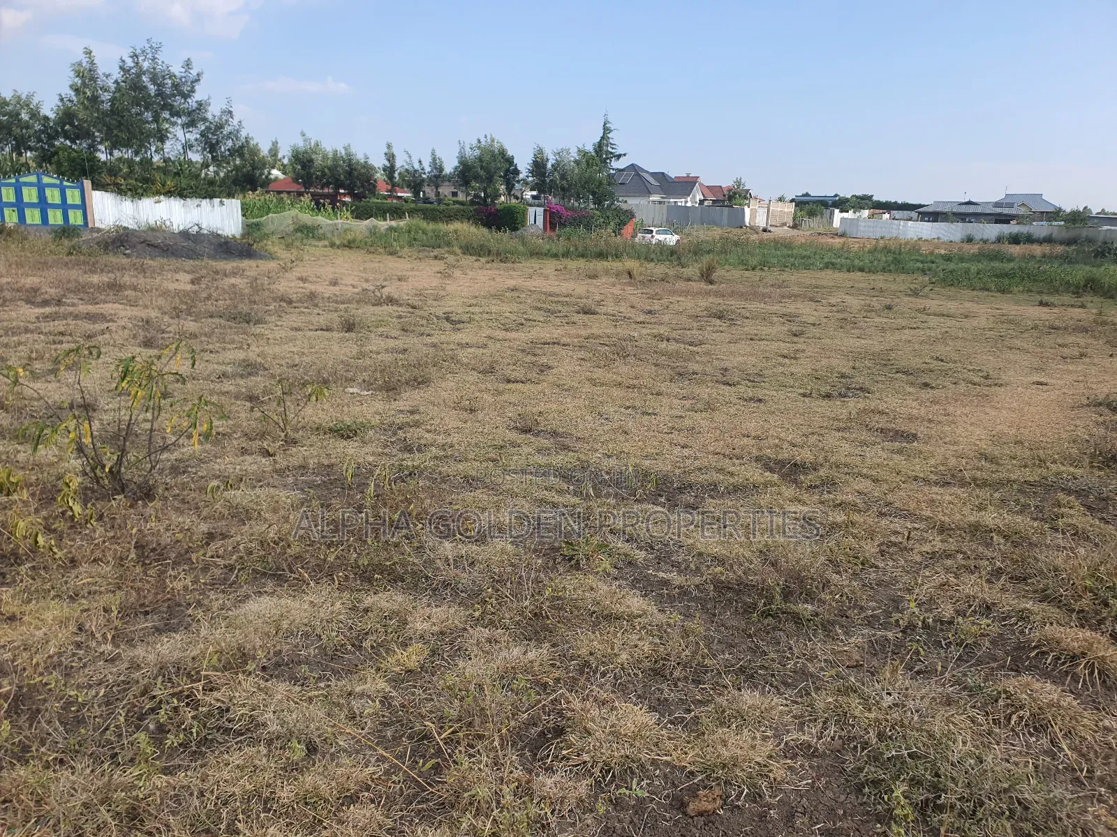 Nanyuki Runda Estate Plots in Nanyuki