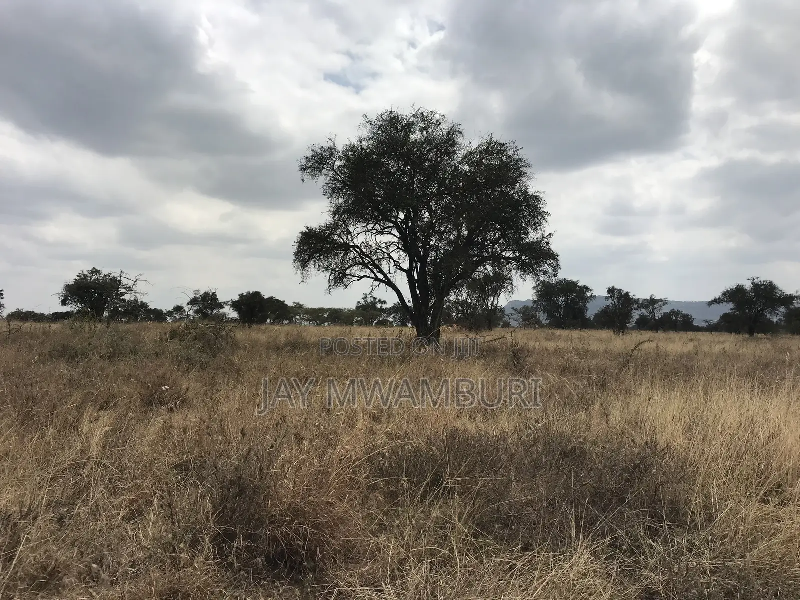 12 Acres Maanzoni Mua in Mua
