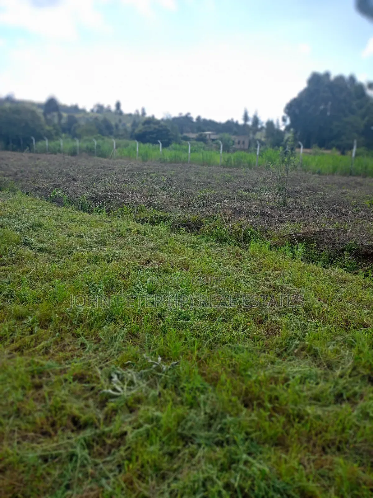 Rironi Plots in Zambezi/Sigona