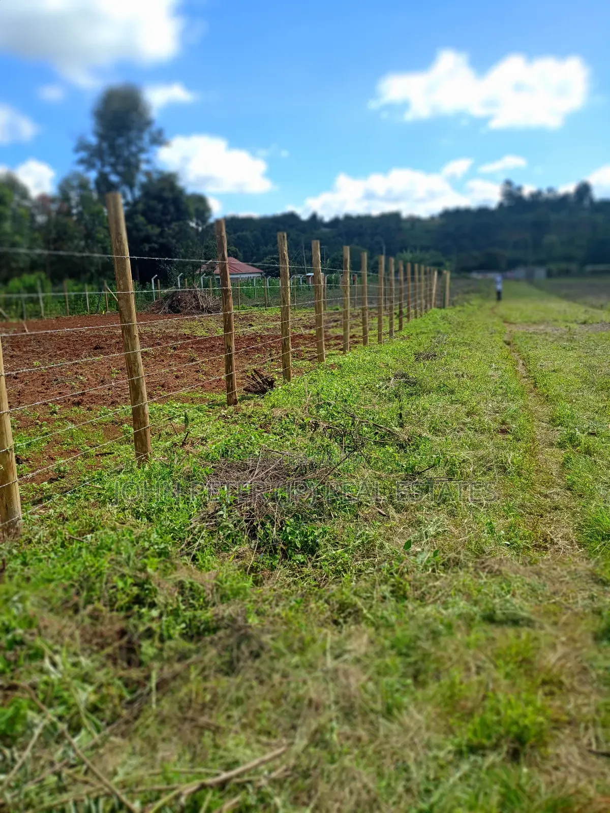 Rironi Plots in Zambezi/Sigona