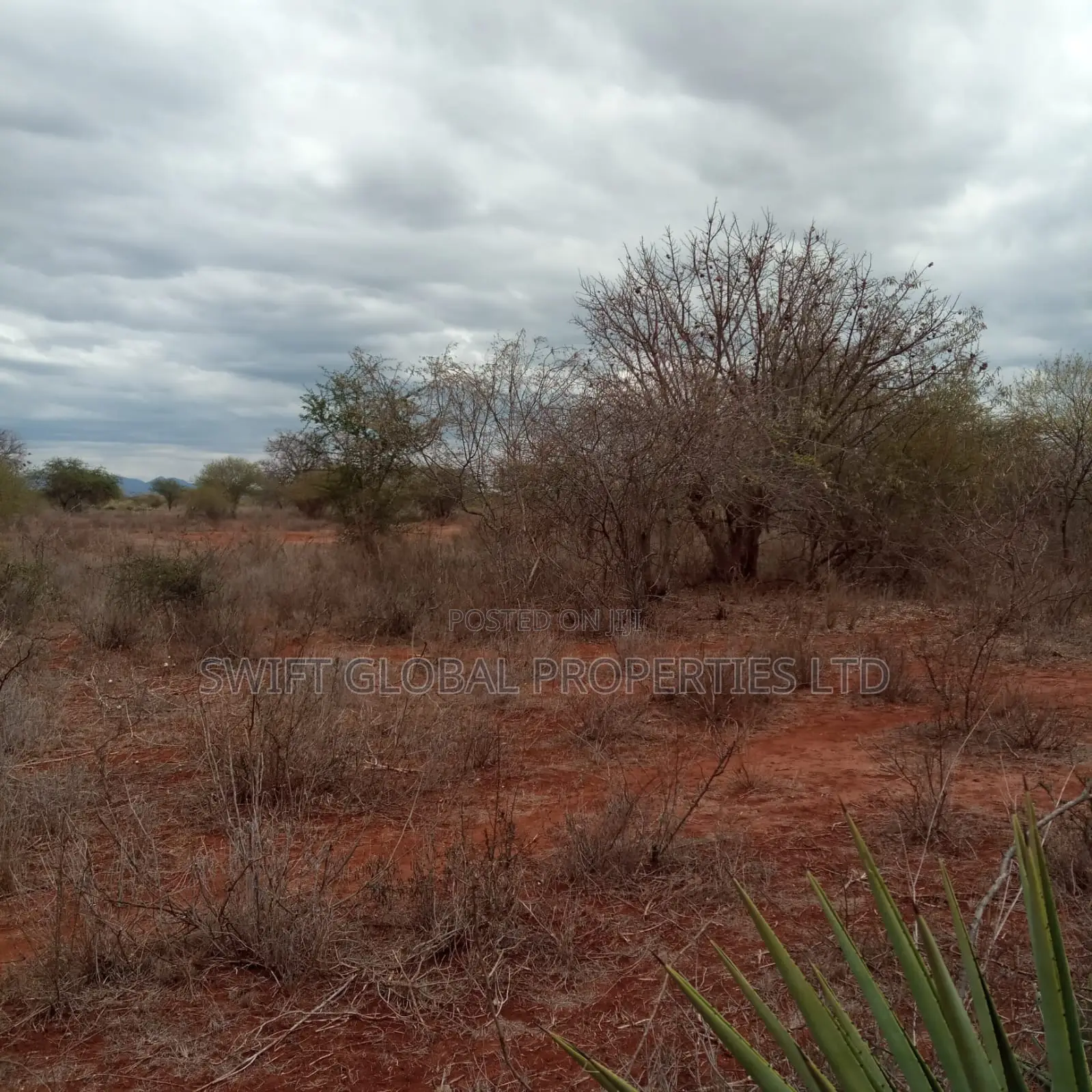 Over 2,000 Acres Are Available for Sale in Emali Town in Emali/Mulala