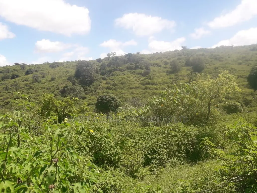 1,000 Acres Touching Mombasa Road in Emali Town Is for Sale in Emali/Mulala