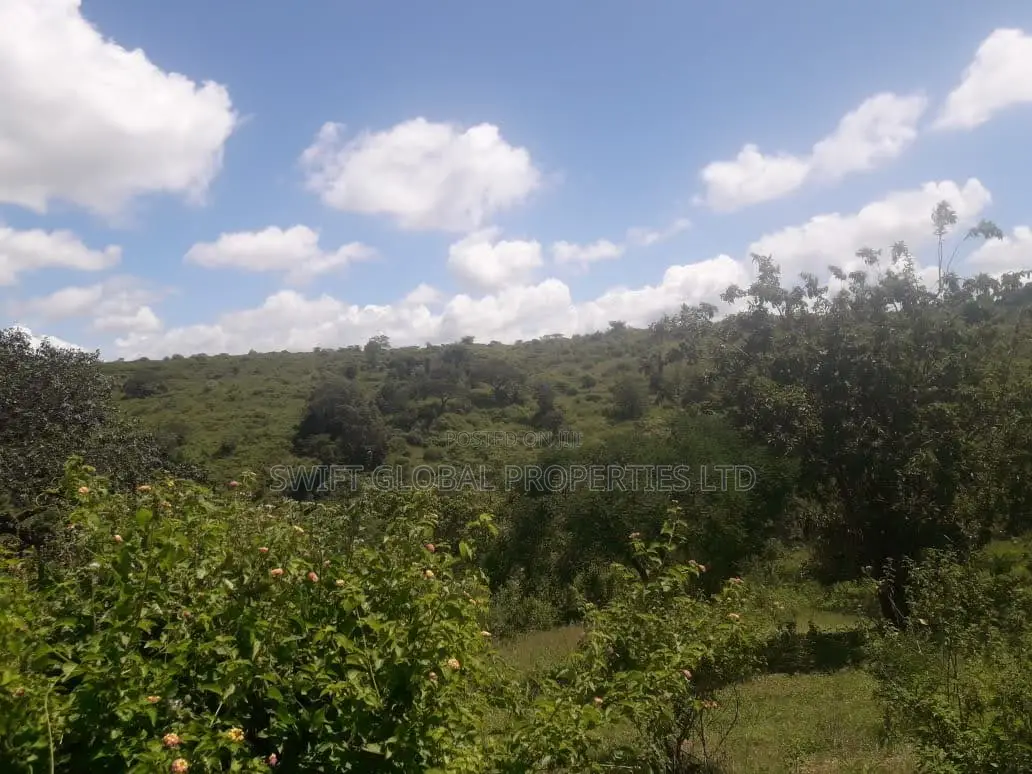 1,000 Acres Touching Mombasa Road in Emali Town Is for Sale in Emali/Mulala