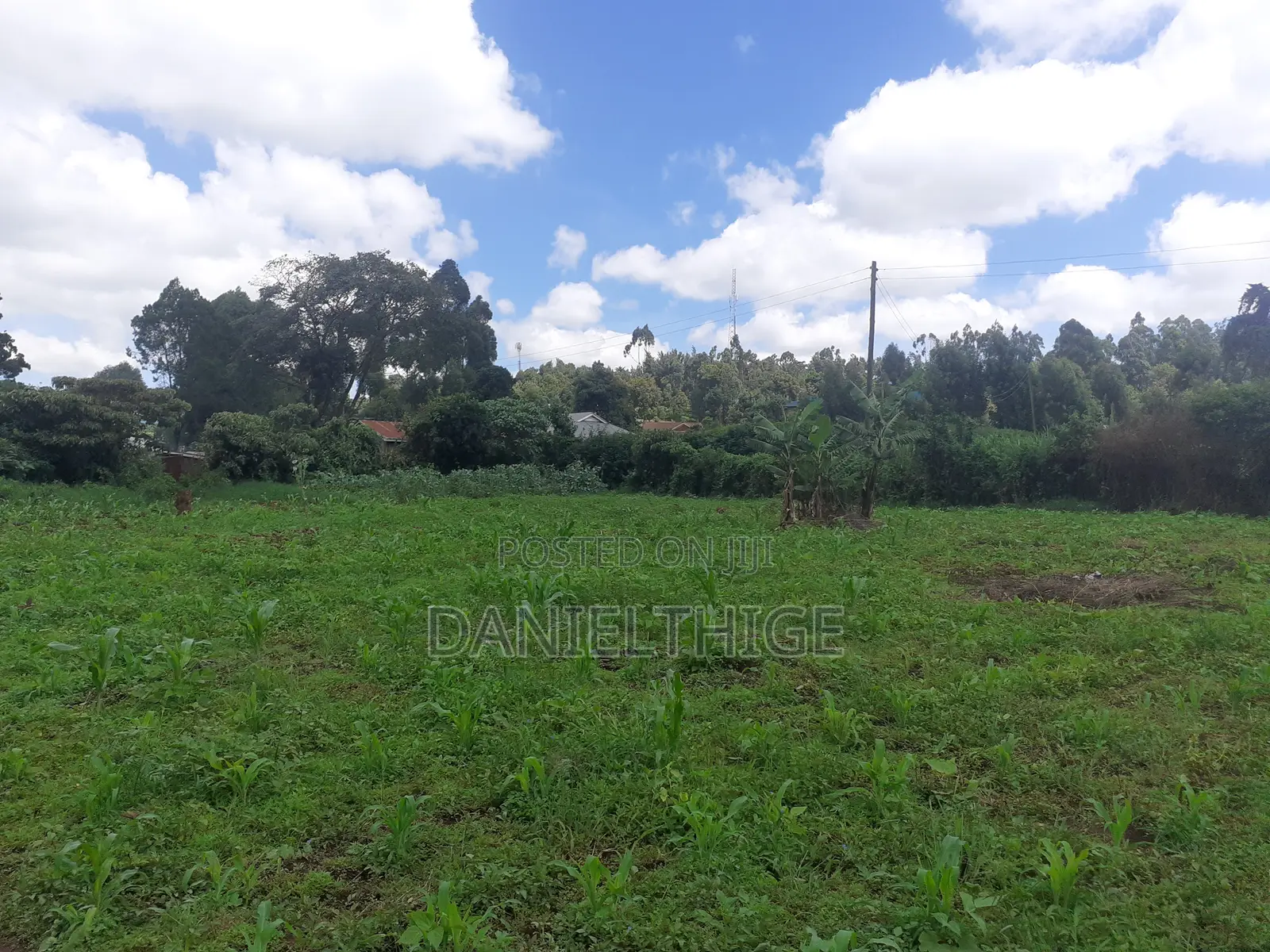 Half Acre Land on Sale in Kikuyu Thamanda in Sigona Ward in Nderi