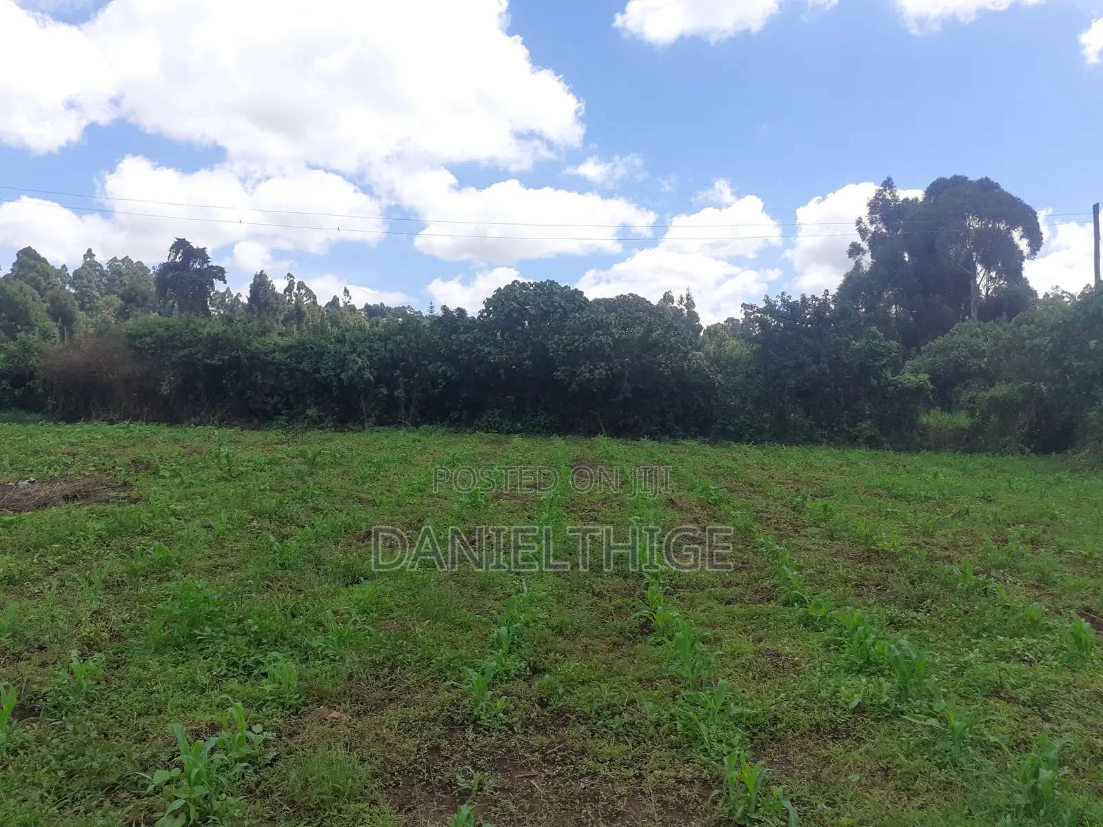 Half Acre Land on Sale in Kikuyu Thamanda in Sigona Ward in Nderi