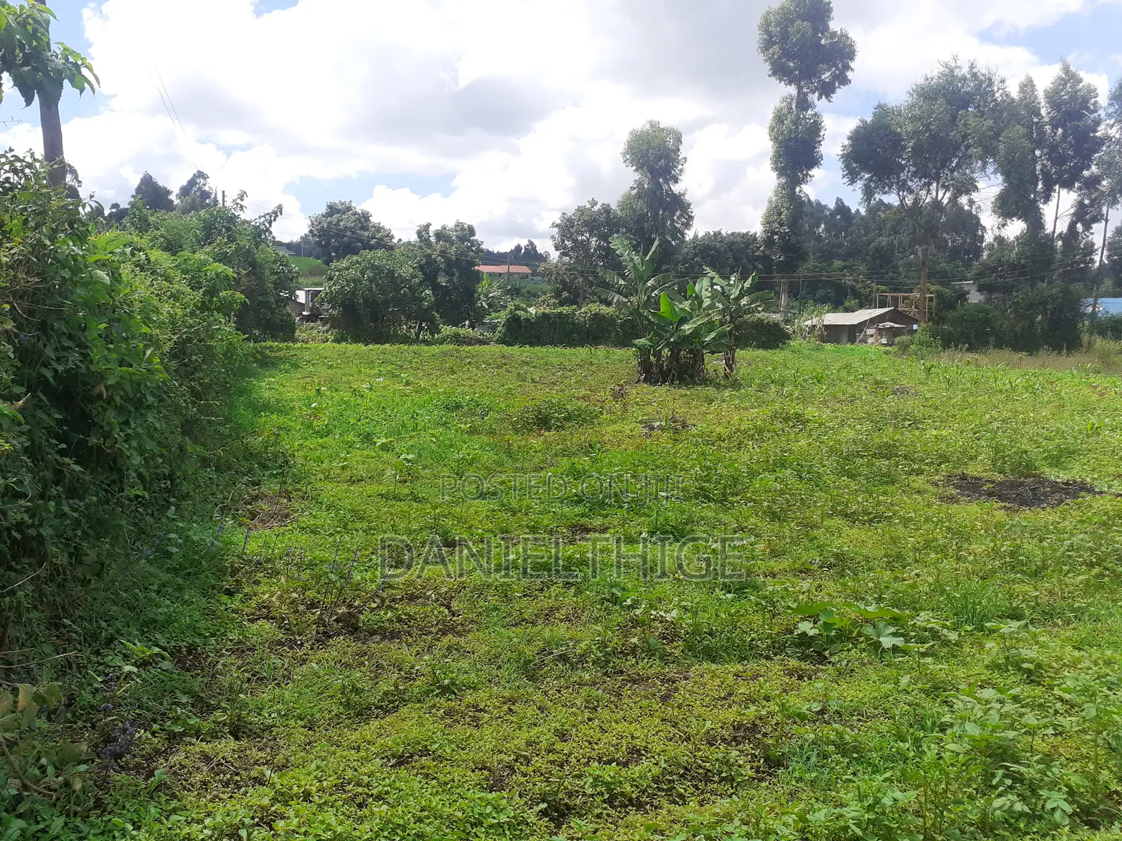 Half Acre Land on Sale in Kikuyu Thamanda in Sigona Ward in Nderi