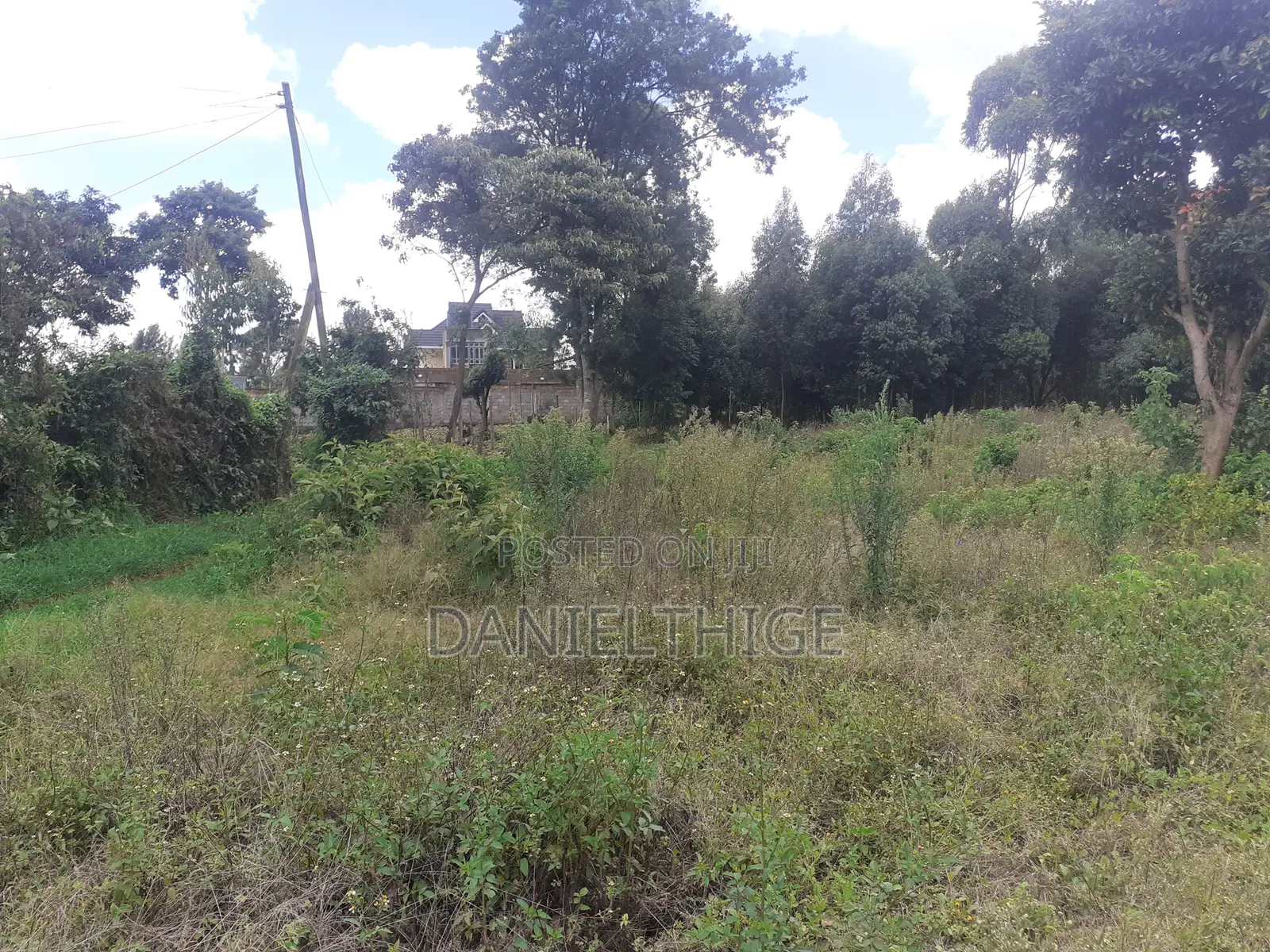 Half Acre Land on Sale in Kikuyu Thamanda in Sigona Ward in Nderi