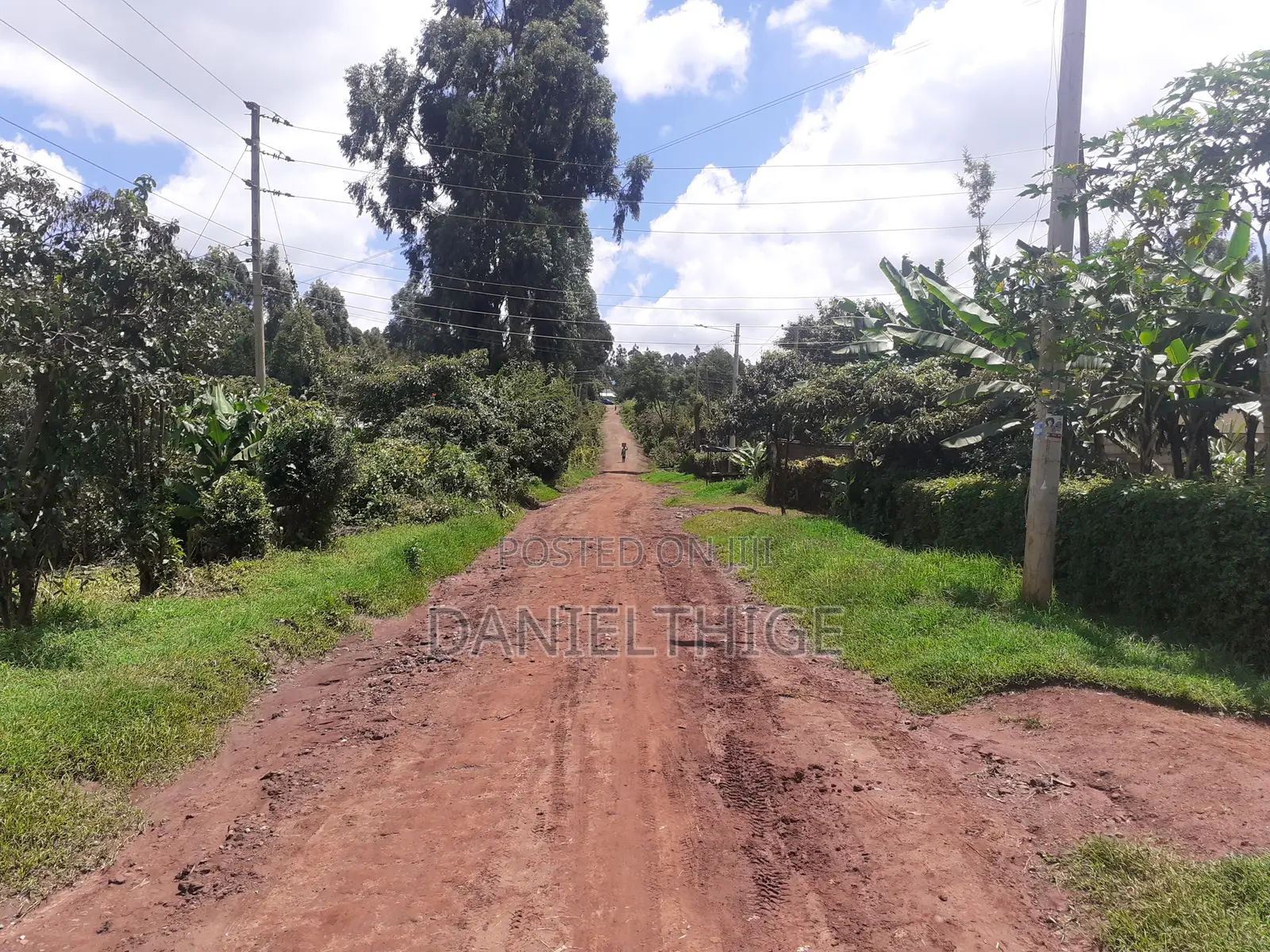 Eighth Acre Plot on Sale in Nguriunditu Nderi Sigona Kikuyu in Nderi