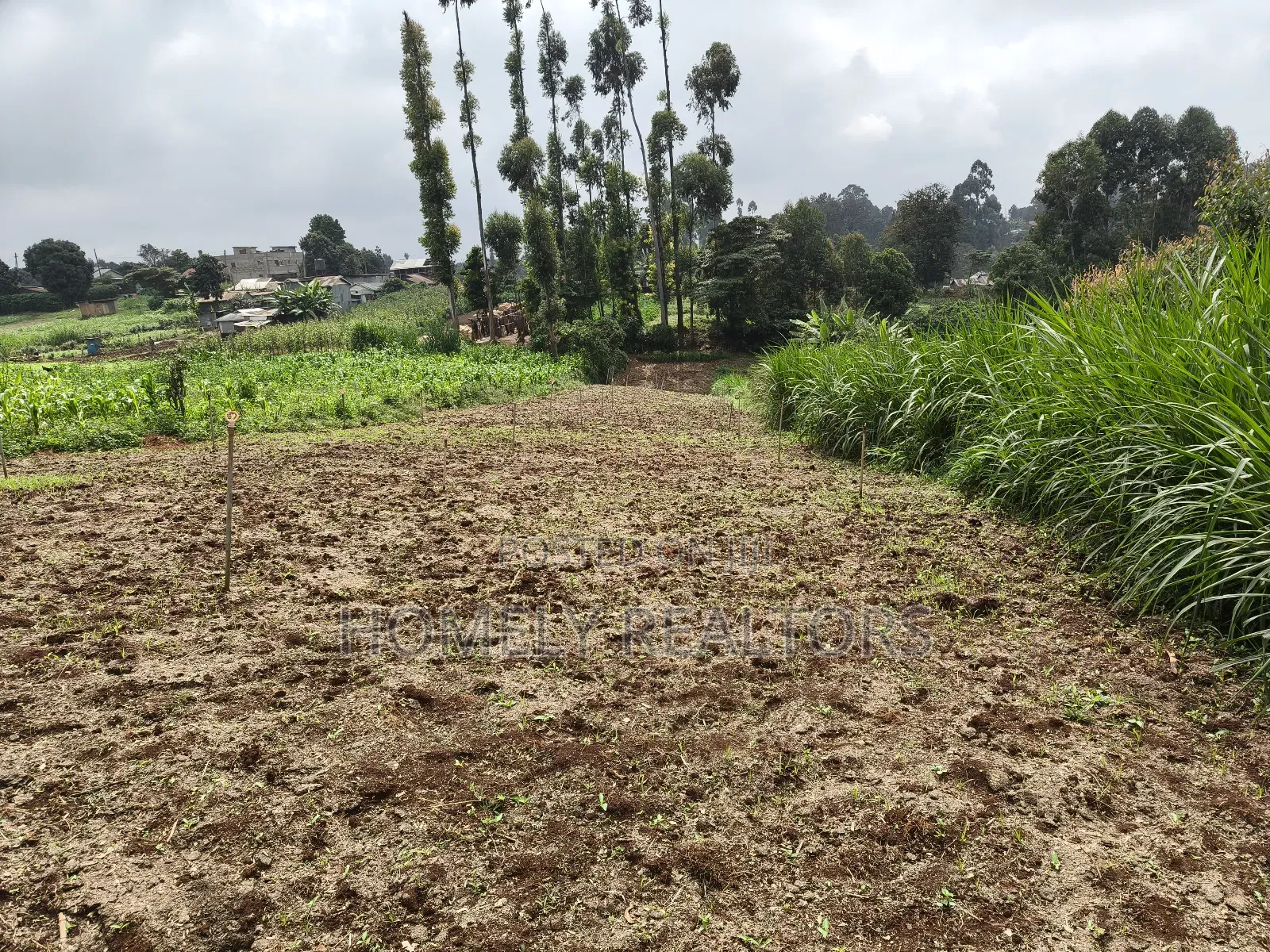 Quarter Acre Plot in Zambezi With Farming Water Connected in Zambezi/Sigona