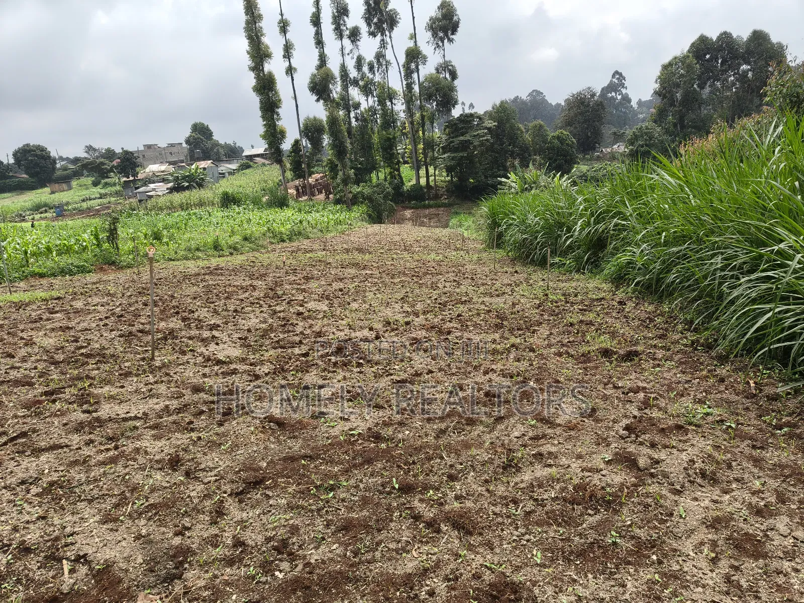 Quarter Acre Plot in Zambezi With Farming Water Connected in Zambezi/Sigona