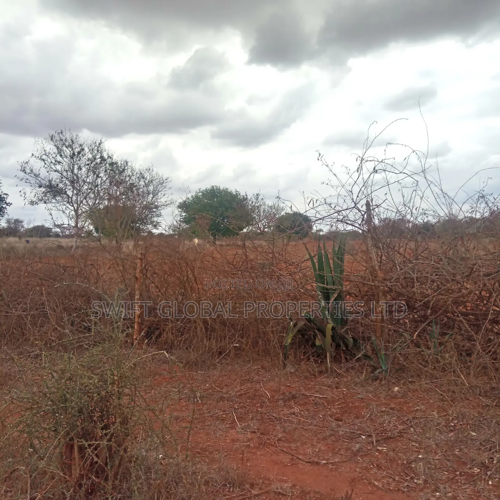 8,000 Acres Are Available for Sale in Maungu, Voi Town in Mackinnon Road