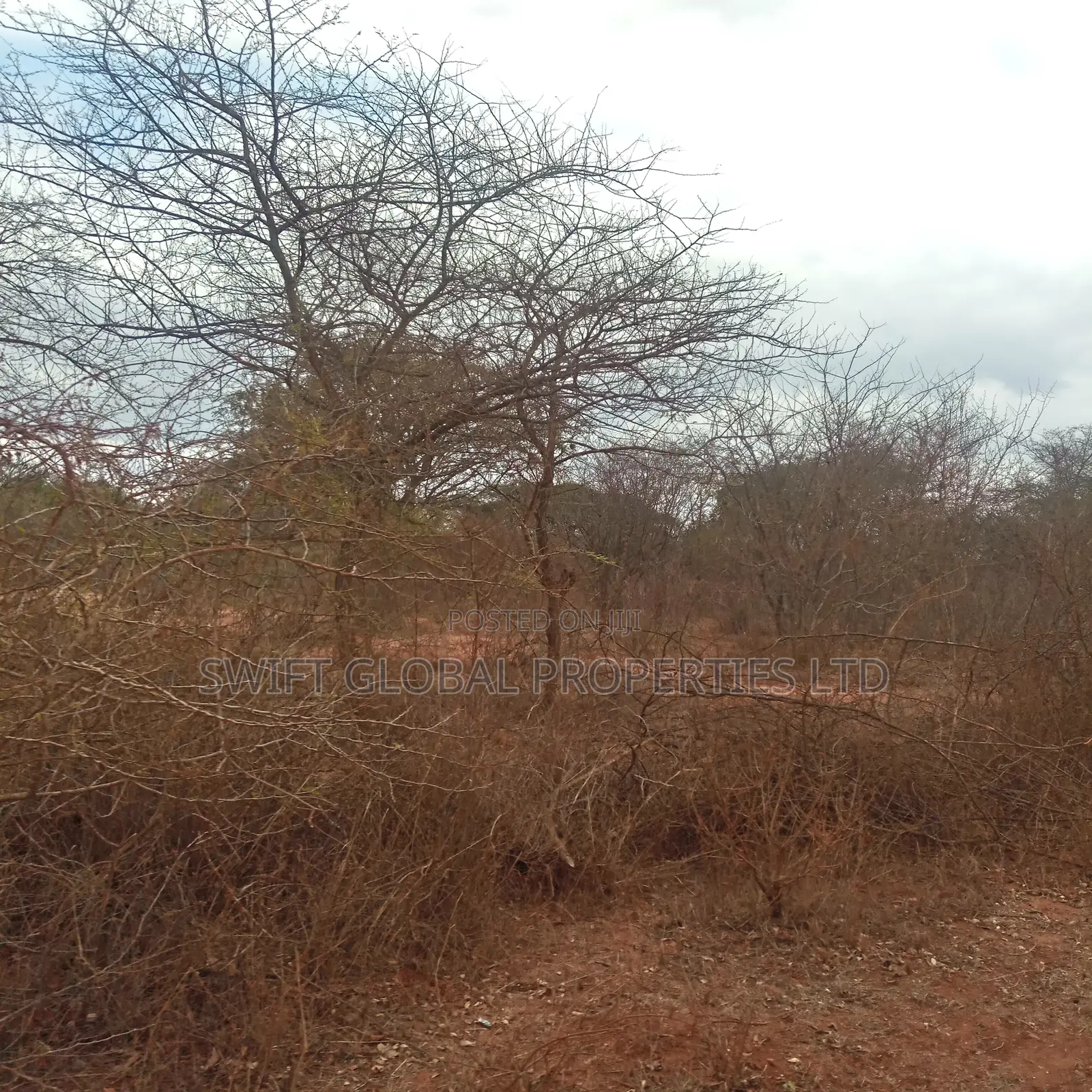 8,000 Acres Are Available for Sale in Maungu, Voi Town in Mackinnon Road