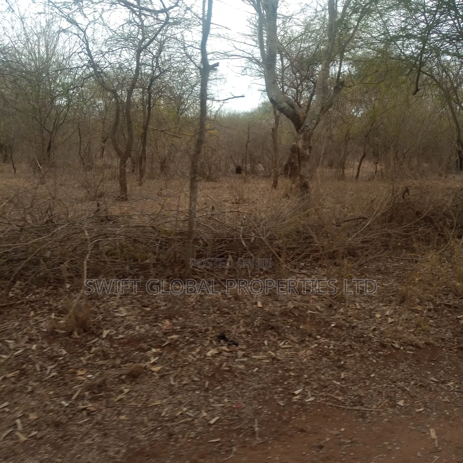 8,000 Acres Are Available for Sale in Maungu, Voi Town in Mackinnon Road