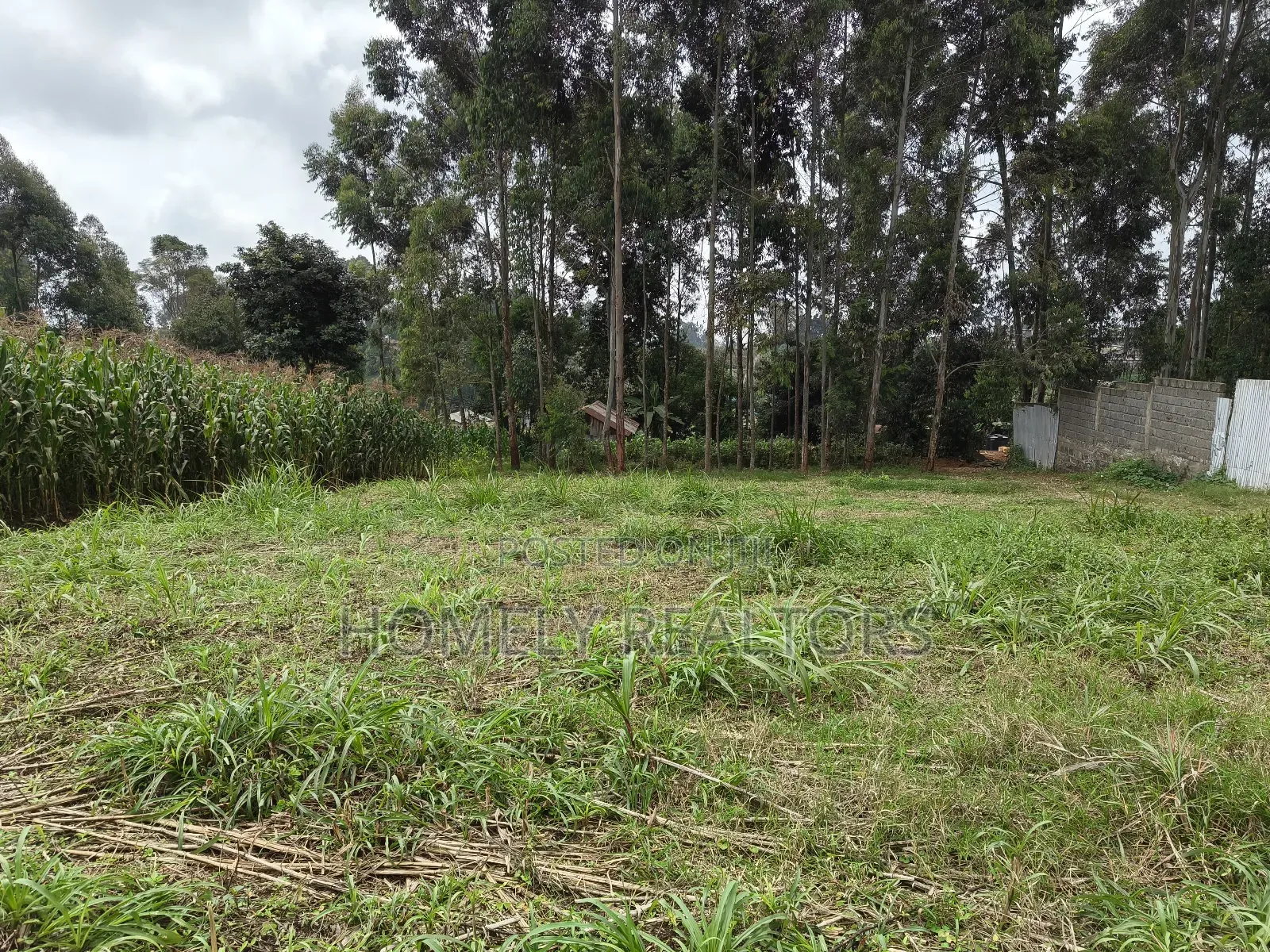 Large 8th Acre (50*120) Plot on Sale in Zambezi Near Tarmac in Zambezi/Sigona