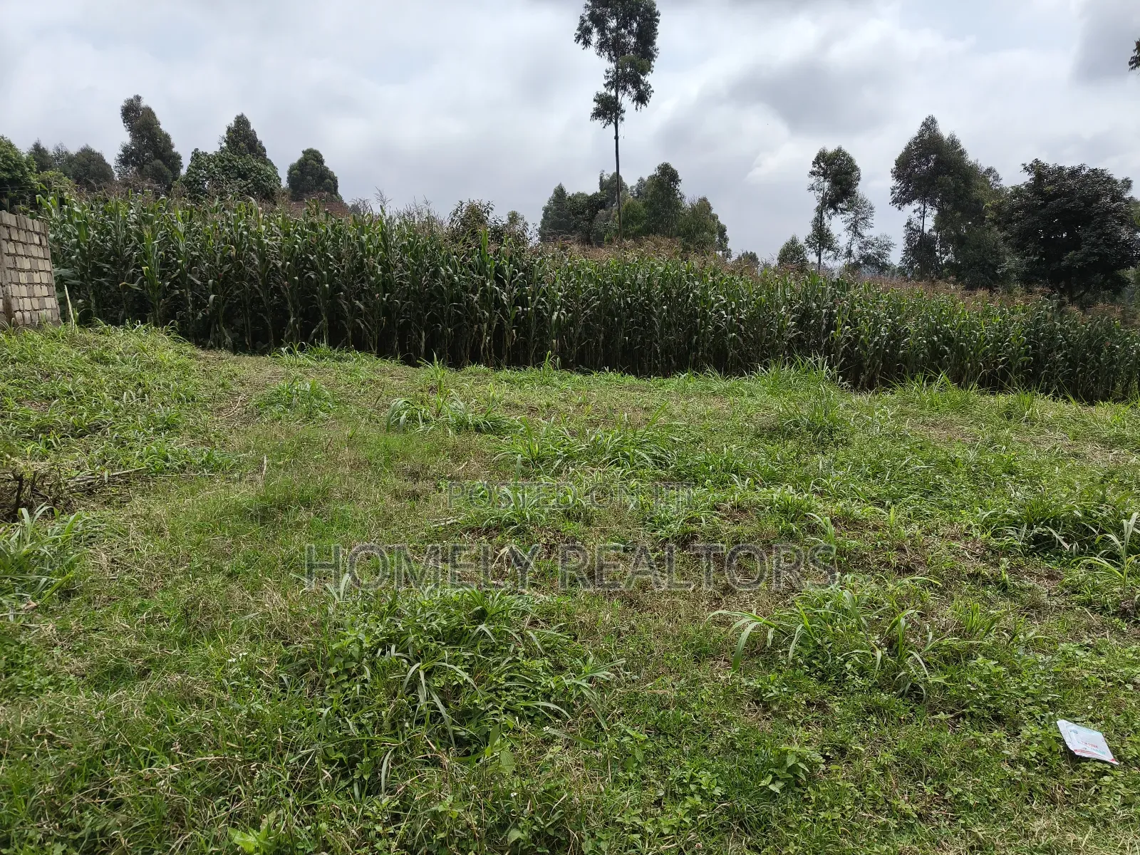 Large 8th Acre (50*120) Plot on Sale in Zambezi Near Tarmac in Zambezi/Sigona
