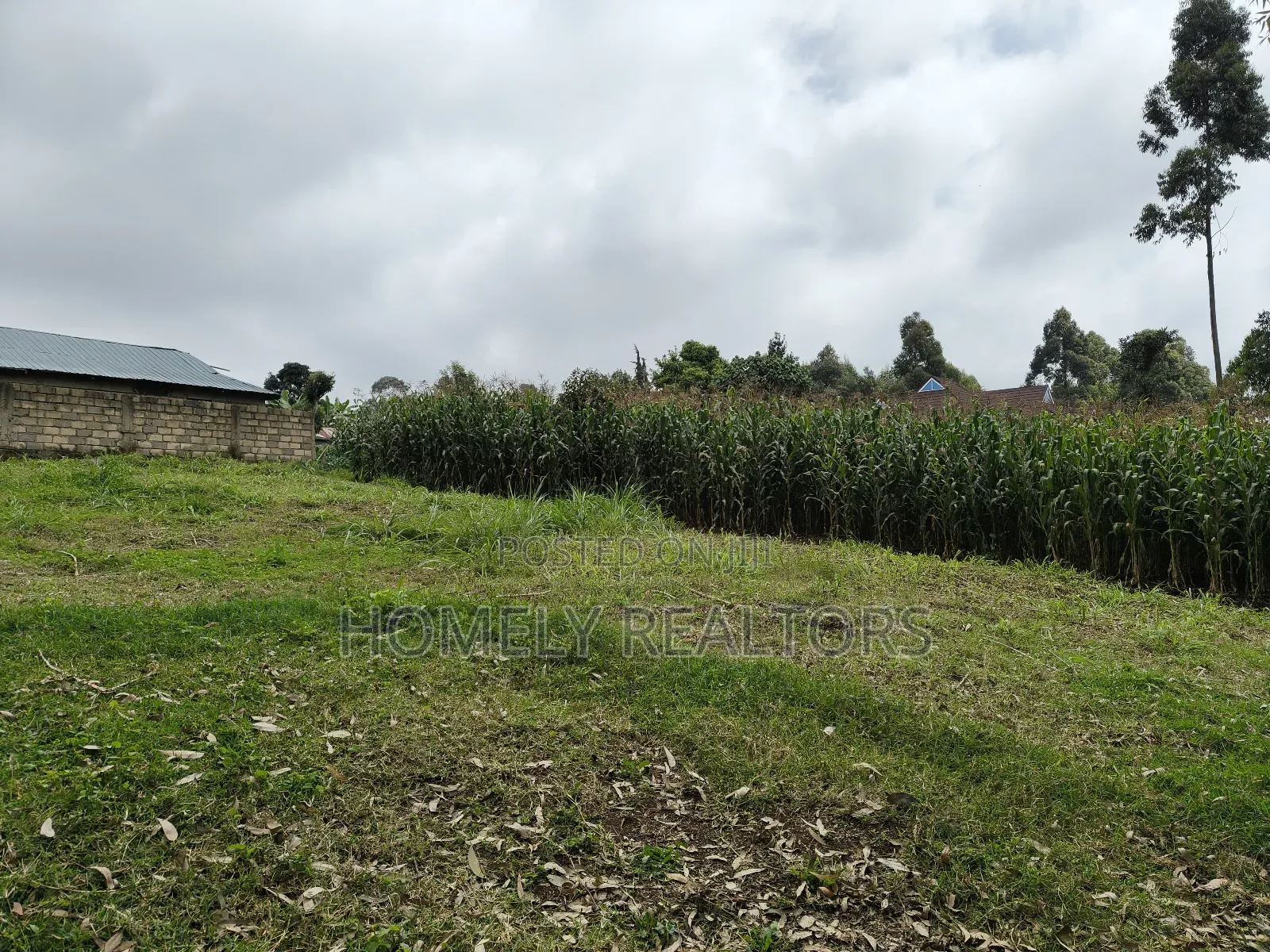 Large 8th Acre (50*120) Plot on Sale in Zambezi Near Tarmac in Zambezi/Sigona