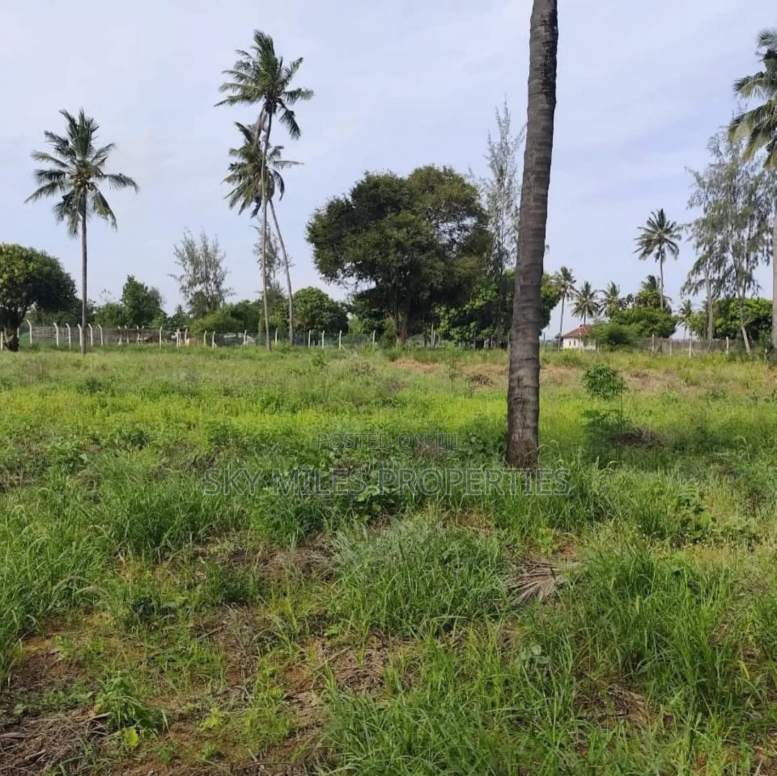 Mida Creek Watamu- Prime 5-acre Land For Sale in Watamu