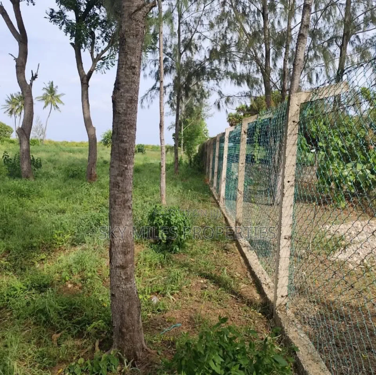 Mida Creek Watamu- Prime 5-acre Land For Sale in Watamu